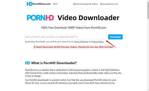 download pornhd videos